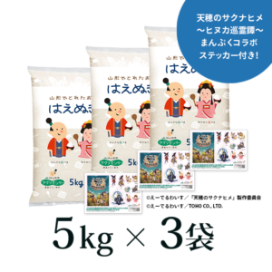 739